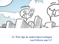 Wat zijn de onderwijservaringen van Eritrese amvs